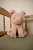 Little Dutch Przytulanka Świnka Little Farm 25 cm LD8833