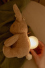 Little Dutch Królik interaktywny Newborn Naturals