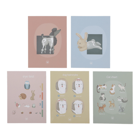 Little Dutch Zestaw Lekarza LD7060