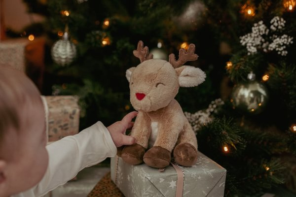 Little Dutch Zestaw prezentowy X-MAS