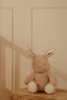 Little Dutch Królik interaktywny Newborn Naturals