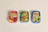 Mepal & Little Dutch Lunchbox Fairy Garden