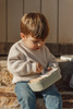 Mepal & Little Dutch Lunchbox Little Farm