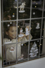 Little Dutch Naklejki na okno X-MAS